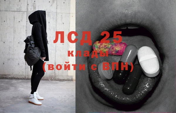 ГАЛЛЮЦИНОГЕННЫЕ ГРИБЫ Бородино